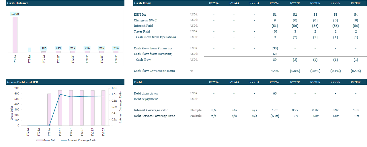 Excel financial model dashboard and output view