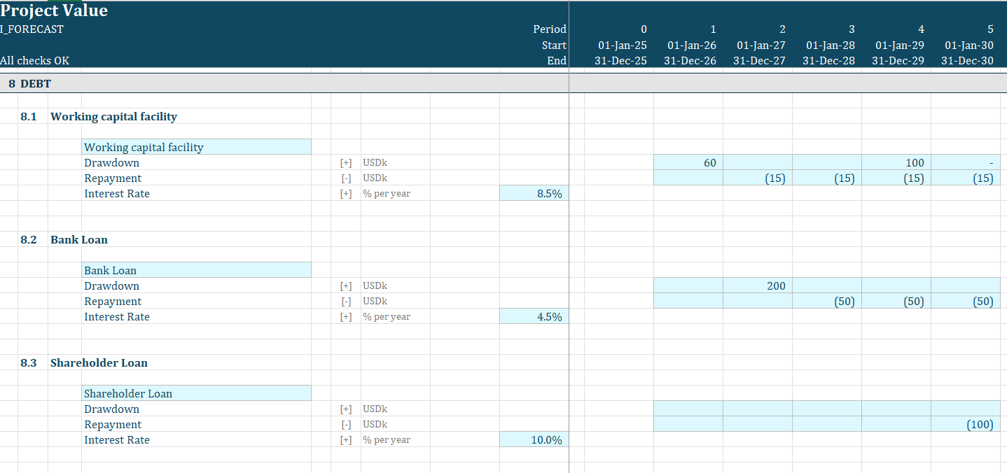Excel assumptions sheet with revenue, cost, working capital, capex, and debt drivers for a bank loan forecast